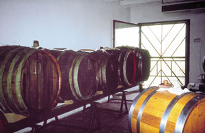 Balsamicofässer